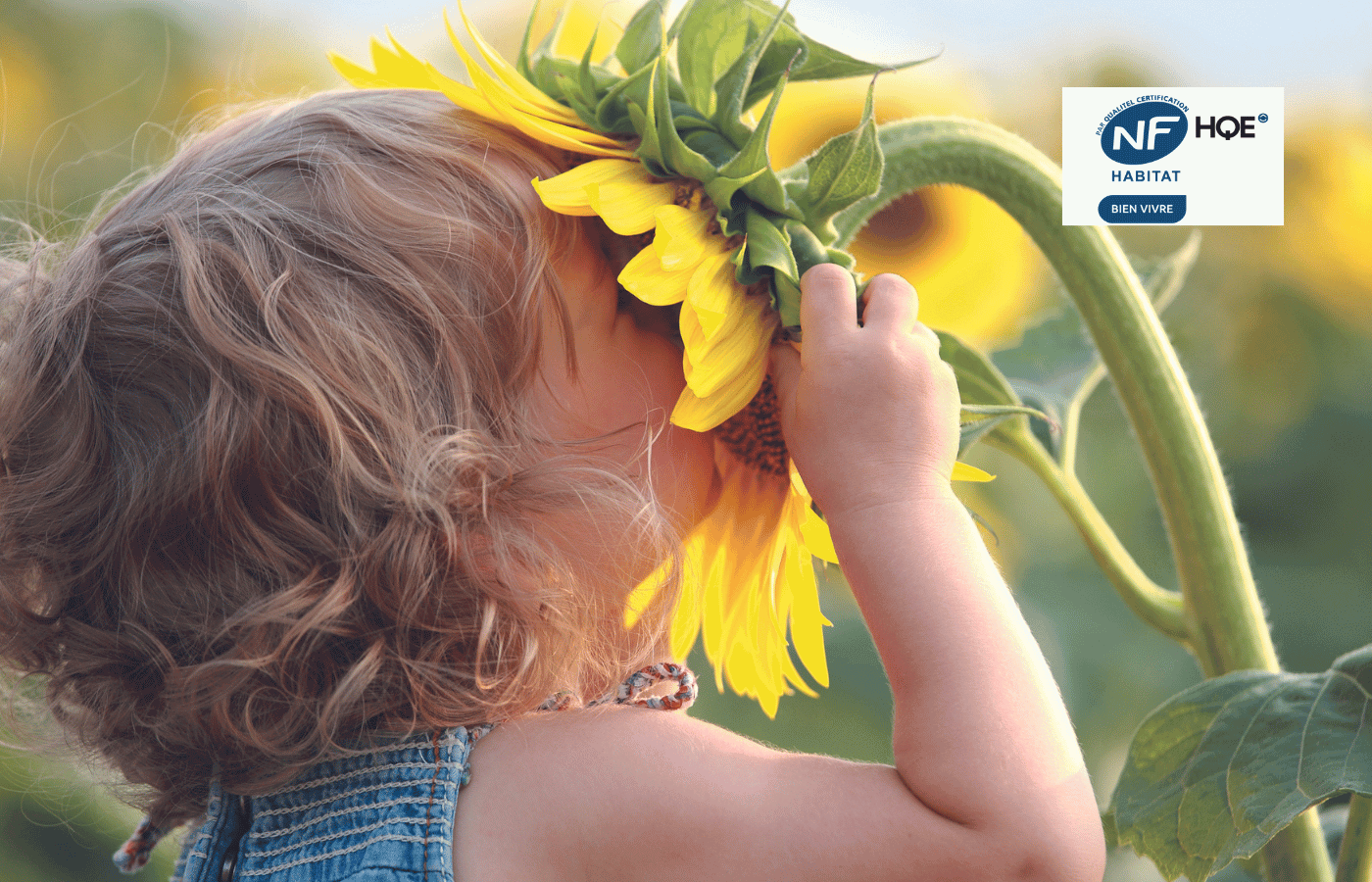 enfant qui met sa tete dans un tournesol